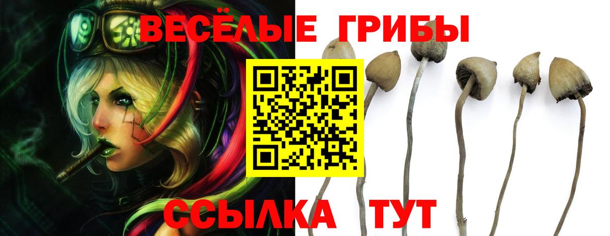 Галлюциногенные грибы MAGIC MUSHROOMS Дивногорск