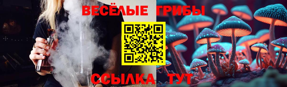Псилоцибиновые грибы ЛСД  Вход с VPN  где найти   Псилоцибиновые грибы MAGIC MUSHROOMS  Дивногорск 